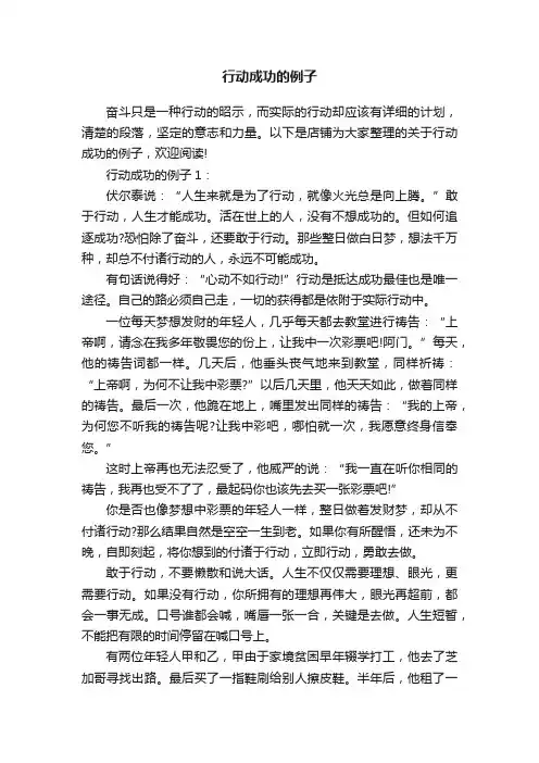 行动成功的例子