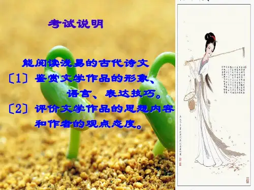 古诗词鉴赏答题技巧复习幻灯片PPT