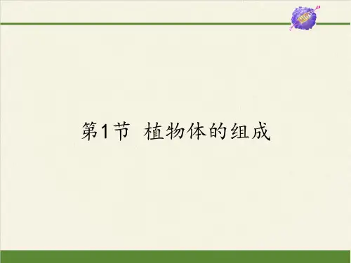 苏科版初中生物七年级下册课件-4.9.1 植物体的组成4