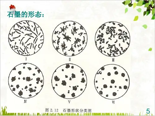 铸造缺陷组织缺陷PPT.