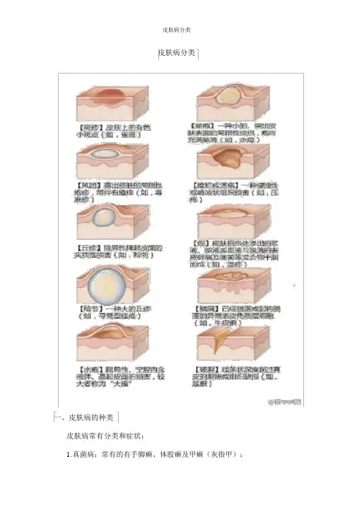 皮肤病分类