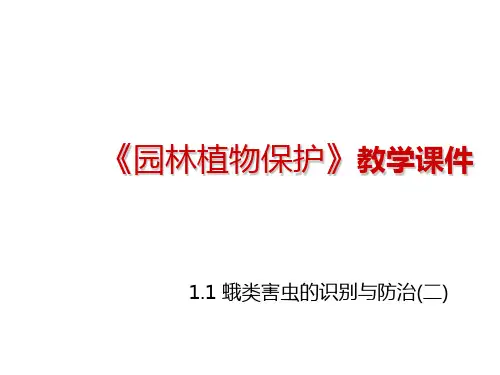 1.1：蛾类害虫的识别与防治(课件二)