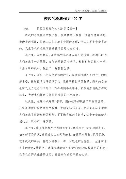 校园的松树作文400字
