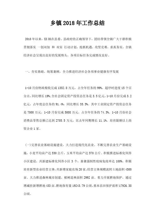 乡镇2018年工作总结