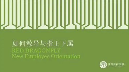 如何有效培养教导下属(5-31)