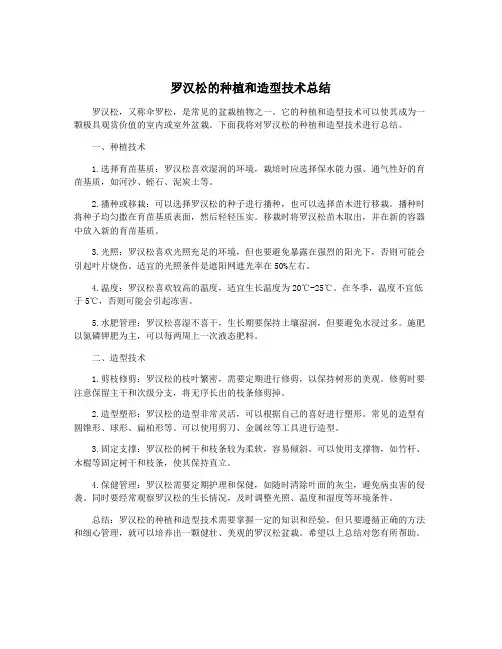 罗汉松的种植和造型技术总结