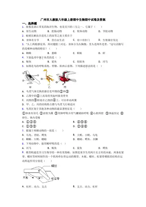 广州市人教版八年级上册期中生物期中试卷及答案