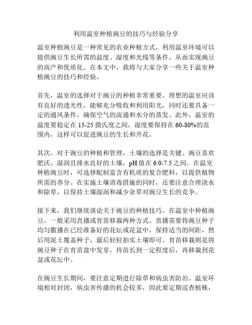 利用温室种植豌豆的技巧与经验分享