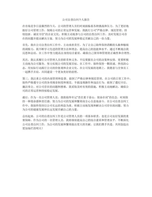 公司自查自纠个人报告