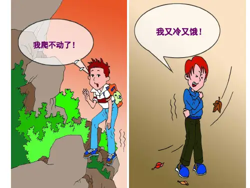 苏科版生物七上7.1《能量的释放和利用》同步讲课课件(共20张PPT)