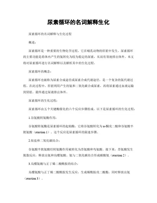 尿素循环的名词解释生化