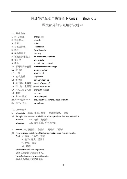 新版深圳牛津版七年级英语下Unit 6 Electricity课文知识点解析及练习