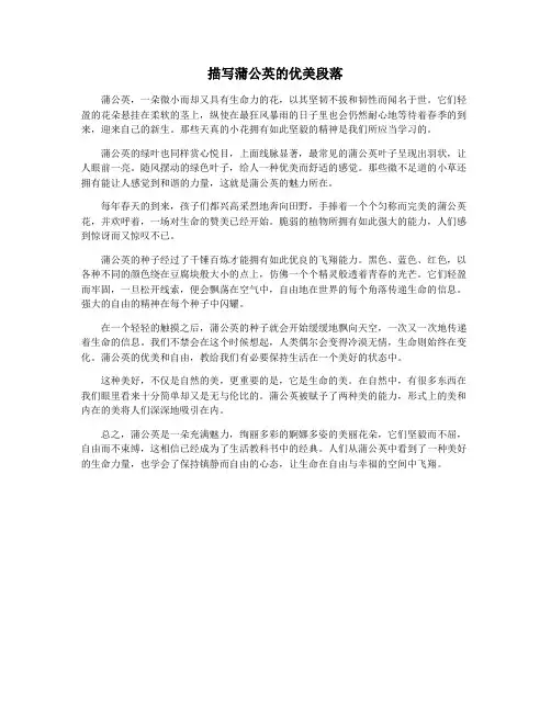 描写蒲公英的优美段落