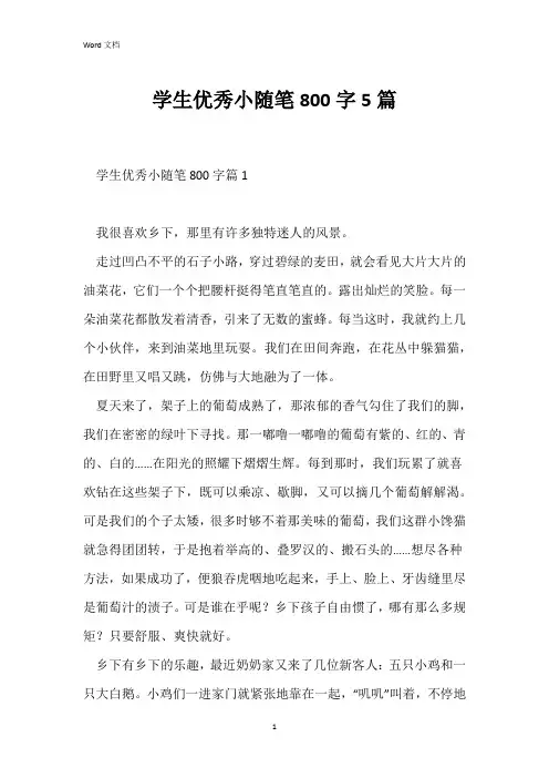 学生优秀小随笔800字5篇