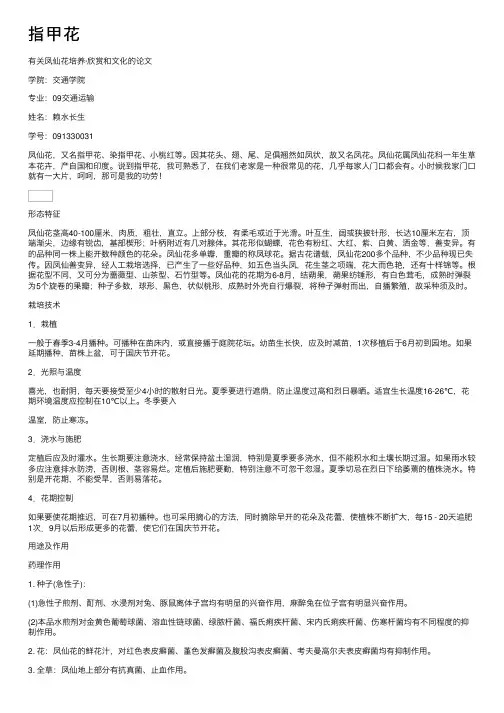 指甲花——精选推荐