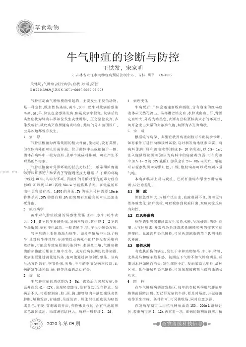 牛气肿疽的诊断与防控