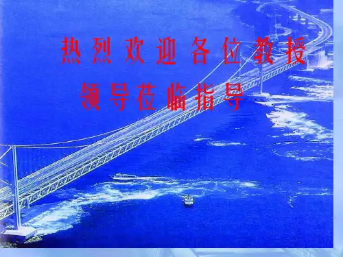 桥梁深水基础施工方案