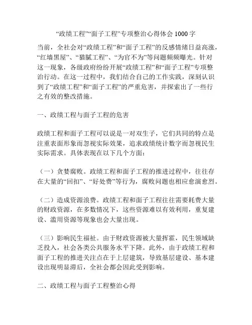 “政绩工程”“面子工程”专项整治心得体会1000字