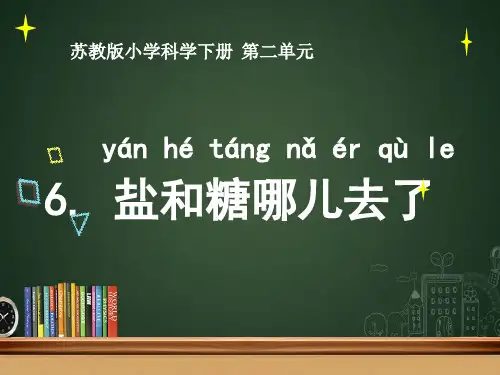 苏教版科学《盐和糖哪儿去了》公开课PPT1