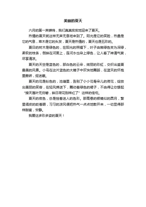 美丽的夏天