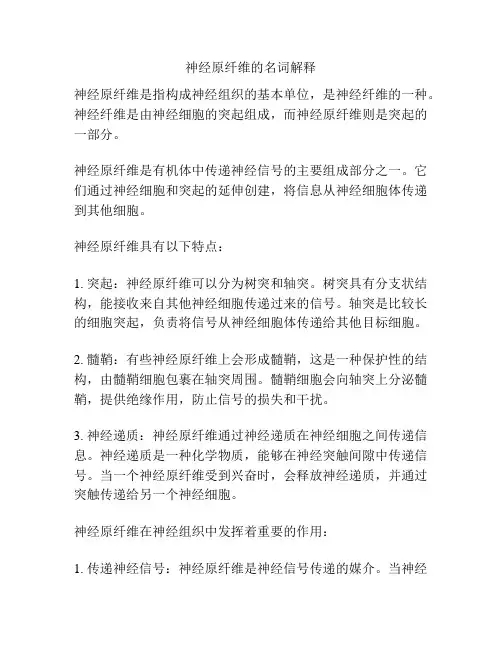 神经原纤维的名词解释