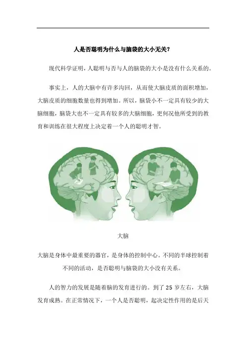 人是否聪明为什么与脑袋的大小无关