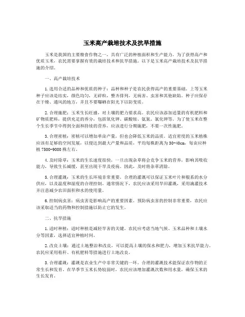 玉米高产栽培技术及抗旱措施