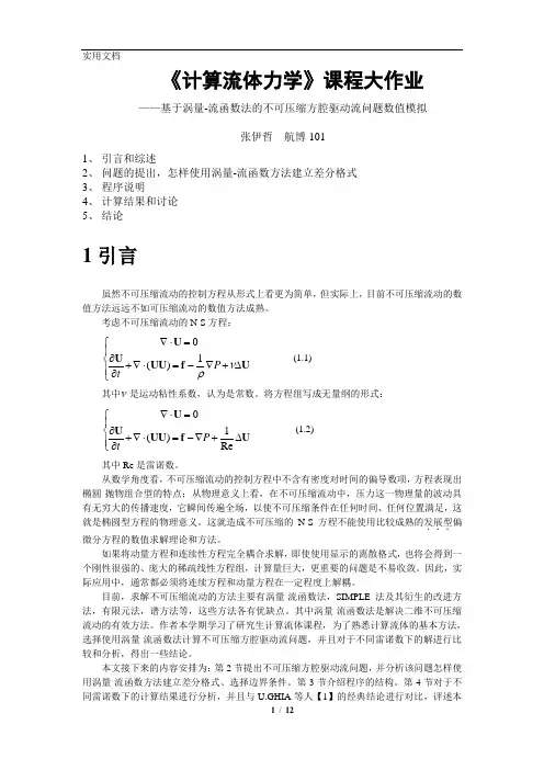 计算流体力学课程大作业