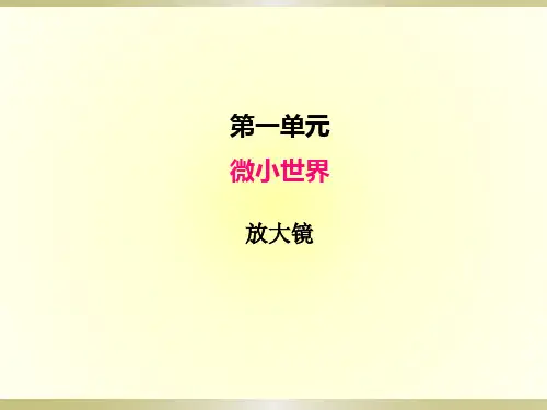 小学科学教科版六年级上册第一单元第1课《放大镜》课件(2022新版)