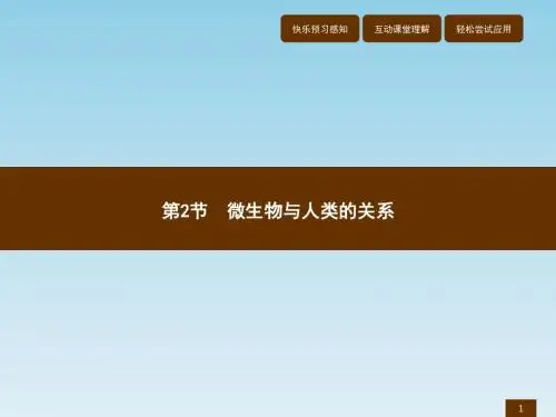 北师大版八年级上册生物18.2微生物与人类的关系