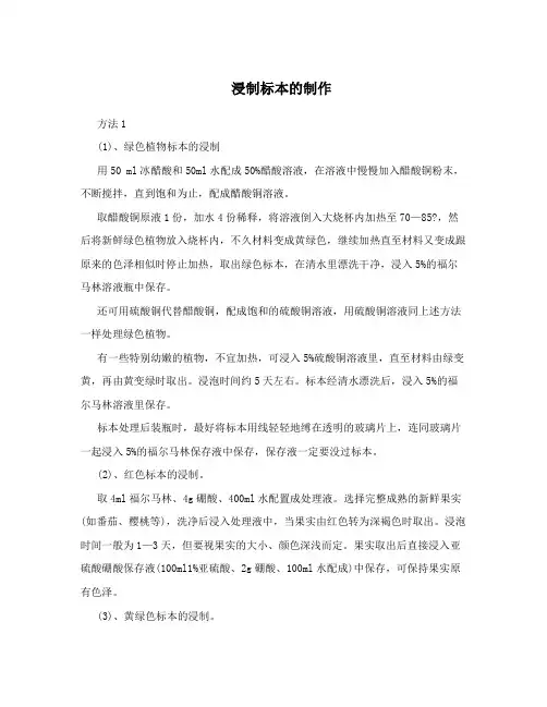 浸制标本的制作