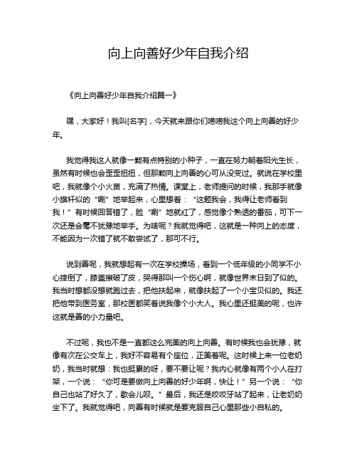 向上向善好少年自我介绍
