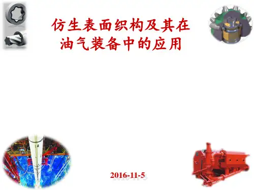 仿生表面织构及其在油气装备中的应用 ppt课件