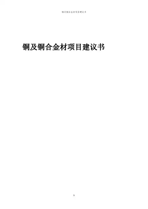 2024年铜及铜合金材项目建议书