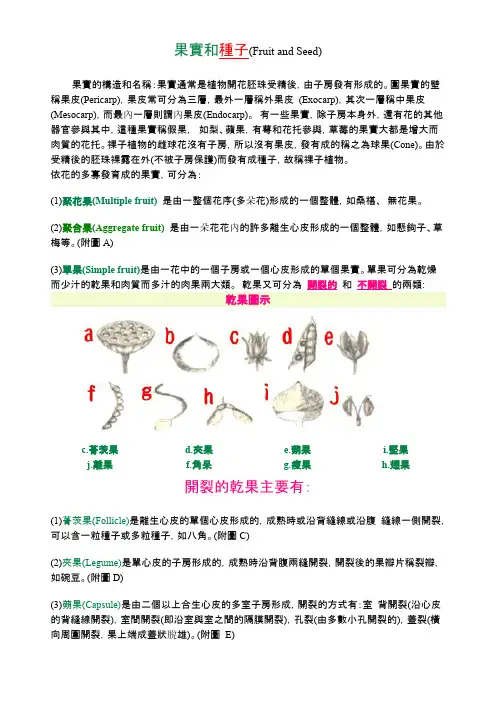 果实和种子(Fruit and Seed)