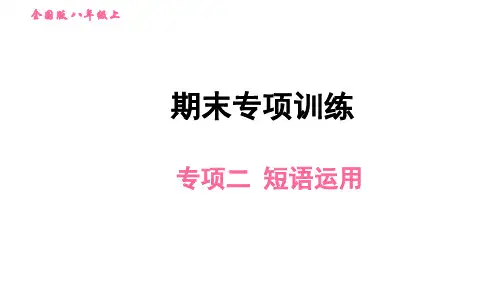 2019秋人教版八年级英语上册期末专项训练课件：专项二 短语运用(共40张PPT)