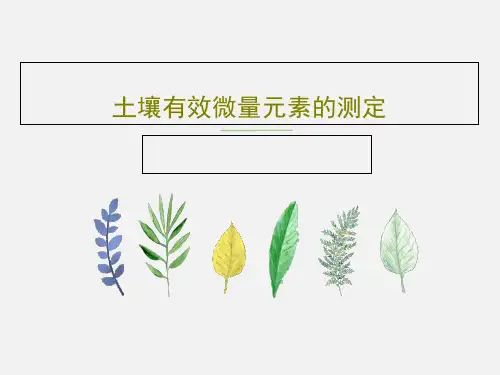 土壤有效微量元素的测定共32页文档