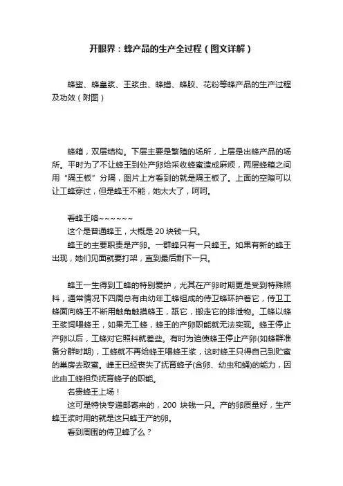 开眼界：蜂产品的生产全过程（图文详解）