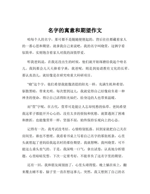名字的寓意和期望作文