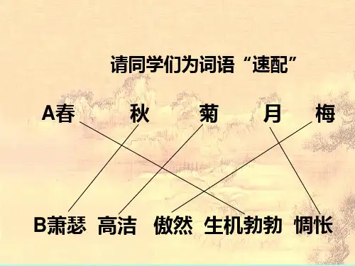 人教版高中语文必修五课件：9说木叶