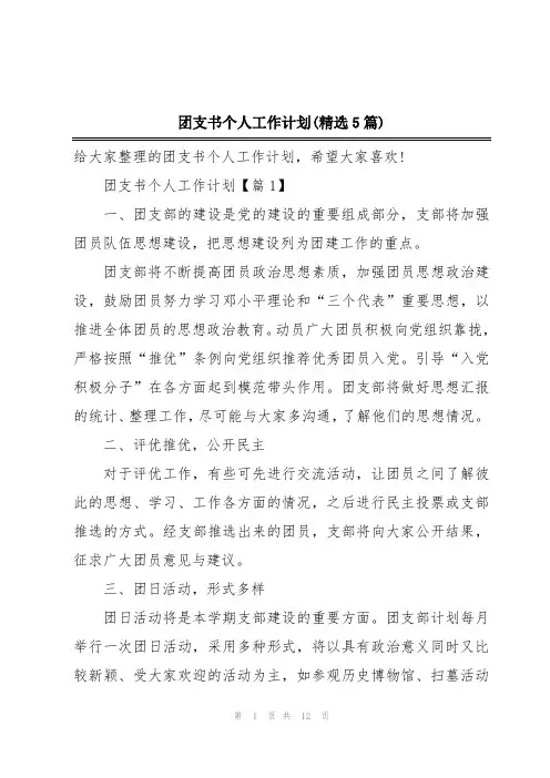 团支书个人工作计划(精选5篇)