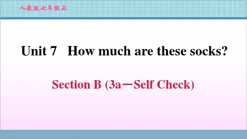 新人教版七年级英语上册 Unit 7 Section B (3a-Self Check)