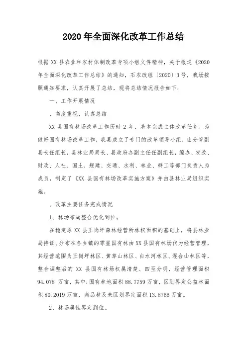 2020年全面深化改革工作总结