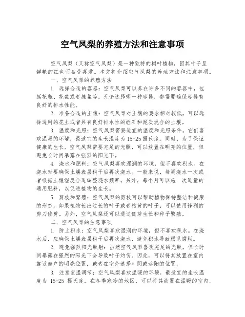 空气凤梨的养殖方法和注意事项