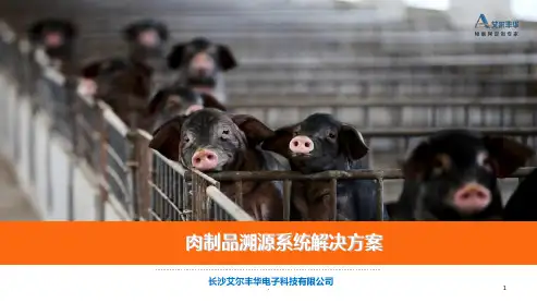 基于RFID技术的肉制品溯源解决方案PPT课件