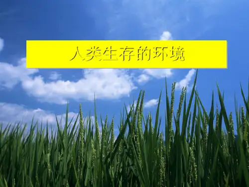 人类生存的环境初中生物课件