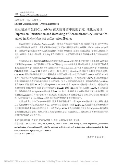 重组包涵体蛋白Cry1Ab_Ac在大肠杆菌中的的表达_纯化及复性_曹思硕