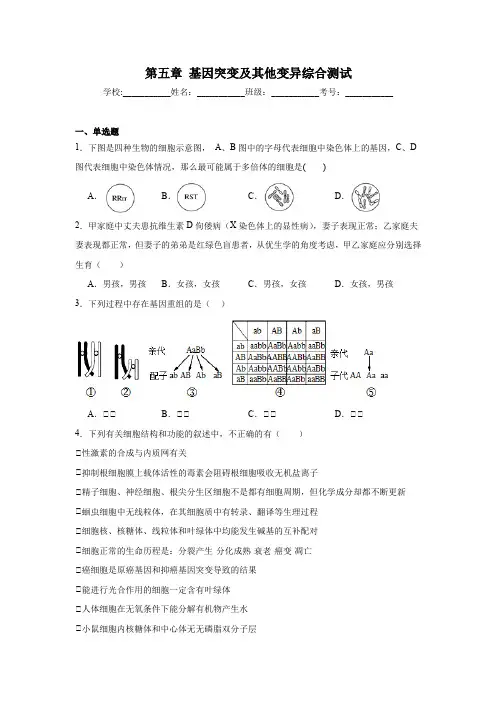 第五章 基因突变及其他变异综合测试(含解析)-2023-2024学年高一下学期生物人教版必修2