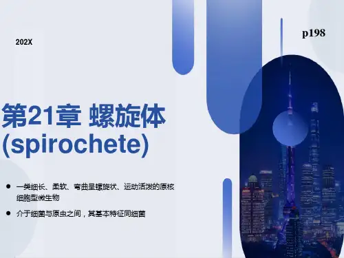 医学微生物学螺旋体