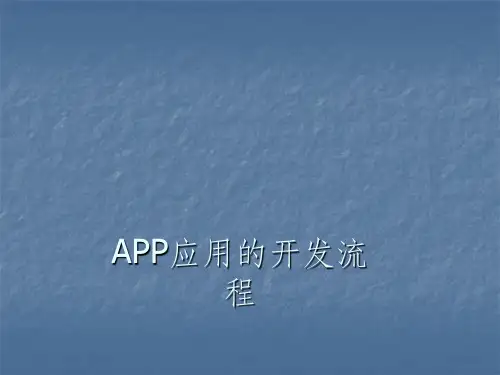APP开发流程ppt课件